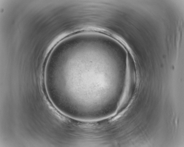 X0000082201048200701191437