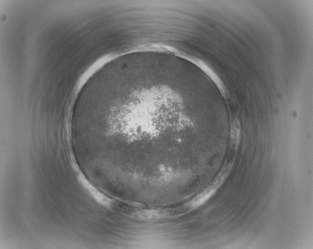 X0000082201054200701191437