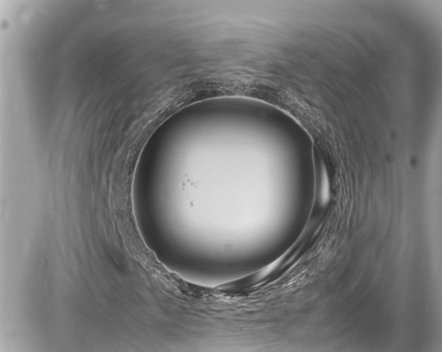 X0000082201057200701191436