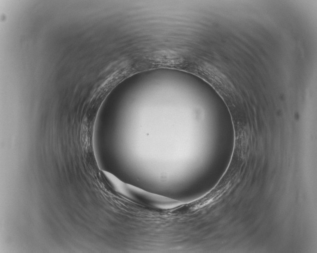 X0000082201058200701191436