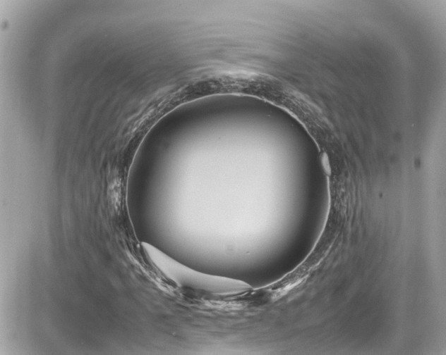 X0000082201061200701191436