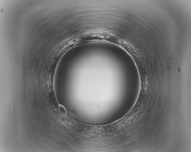 X0000082201062200701191436