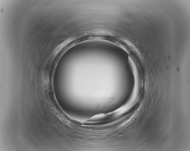 X0000082201065200701191436