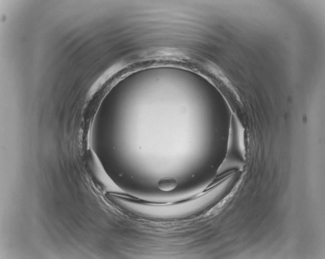 X0000082201066200701191436