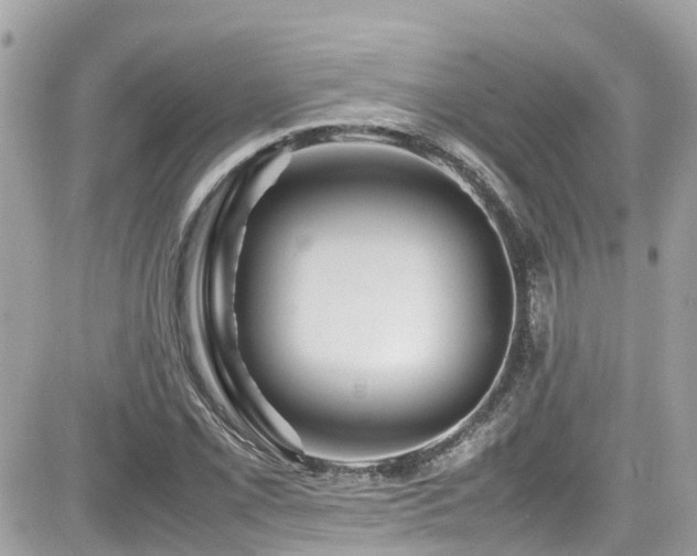 X0000082201069200701191436