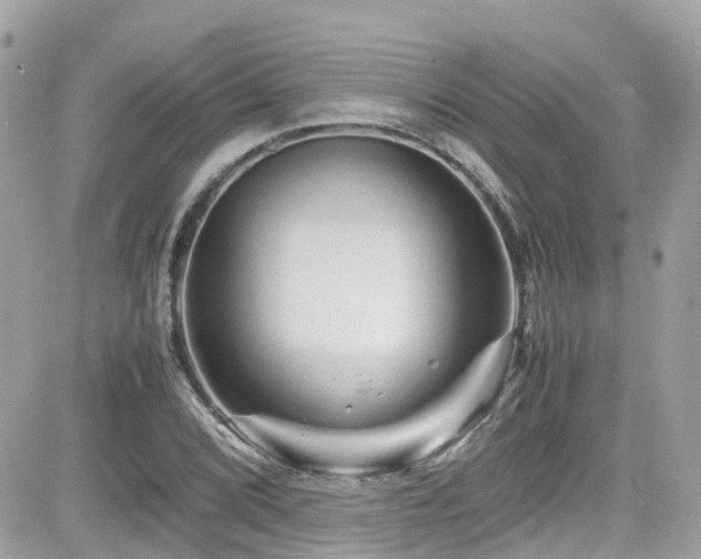 X0000082201072200701191436