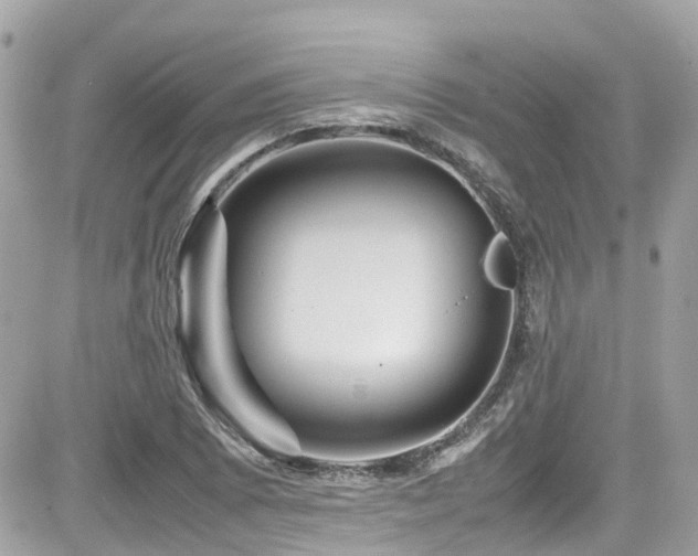 X0000082201073200701191436