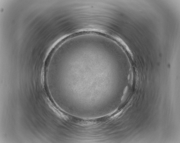 X0000082201076200701191436