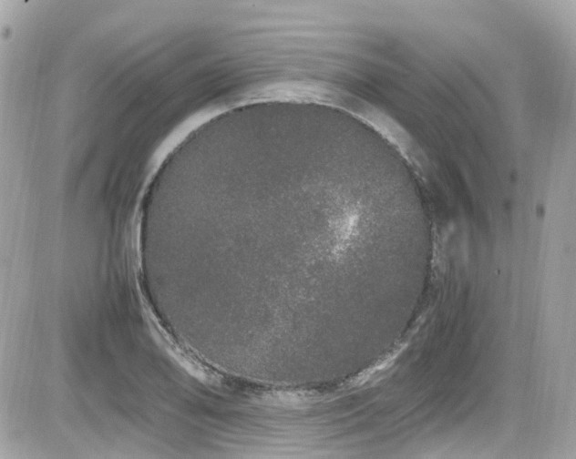 X0000082201078200701191436