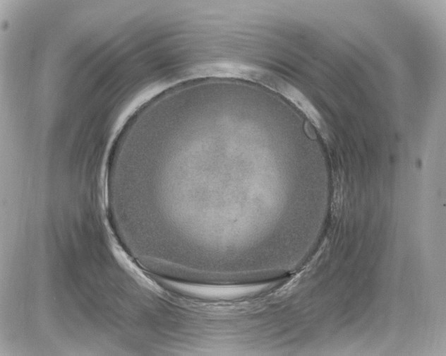 X0000082201080200701191436