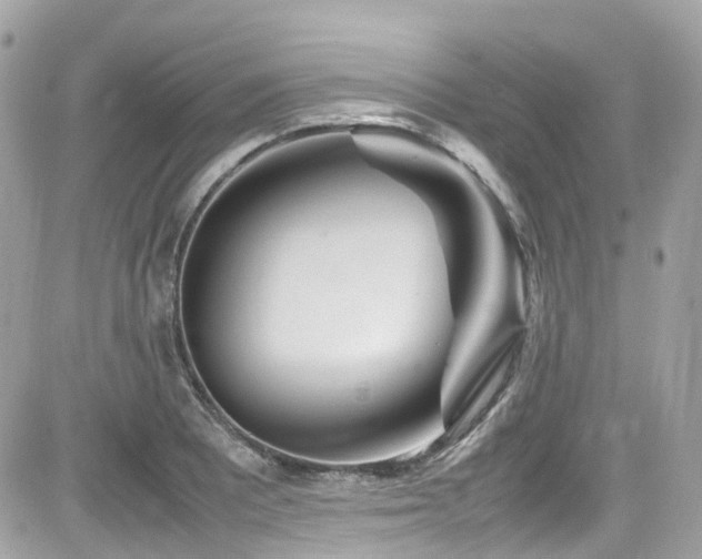 X0000082201081200701191436