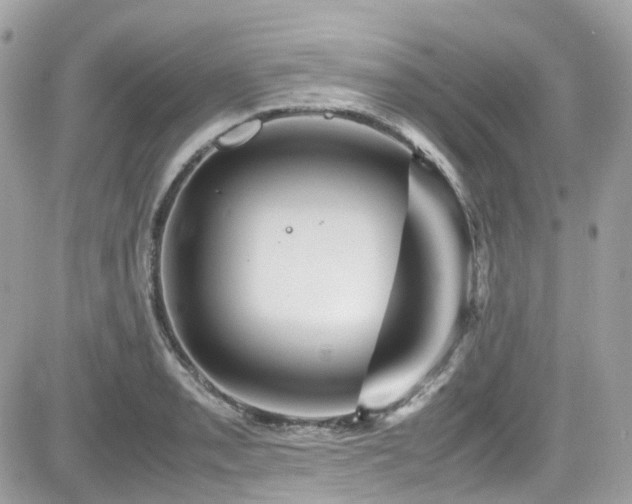 X0000082201085200701191436