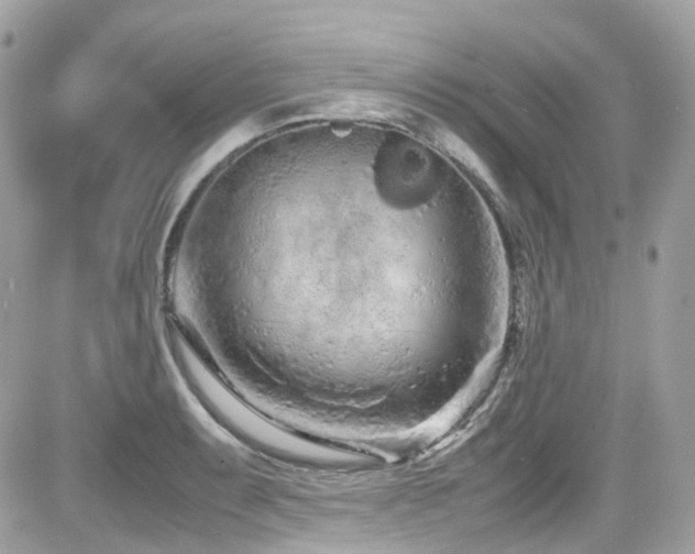 X0000082201087200701191436