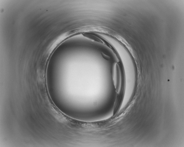 X0000082201089200701191436