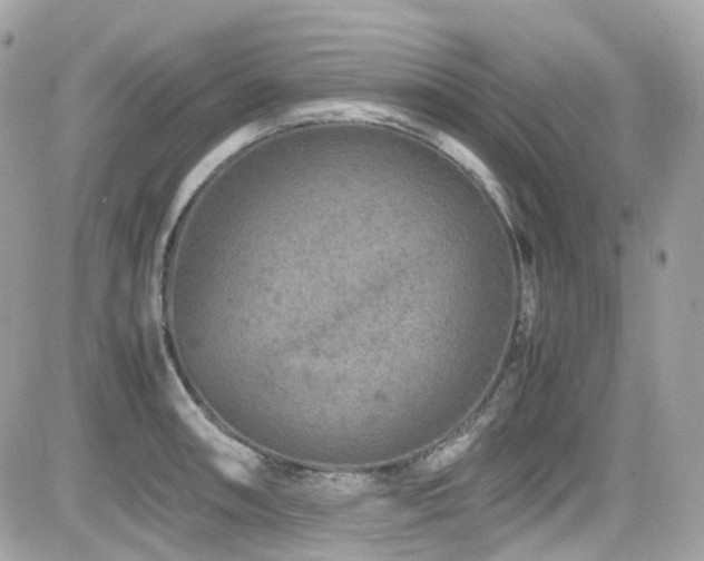 X0000082201090200701191436