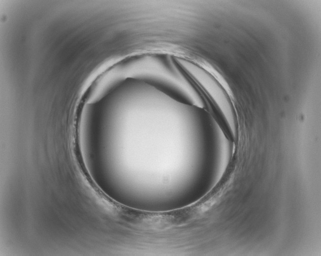 X0000082201093200701191436