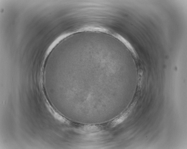 X0000082201094200701191436