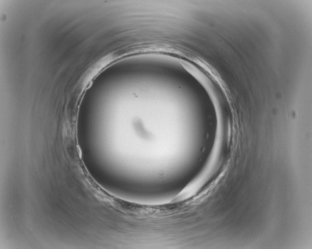 X0000082201097200701191436