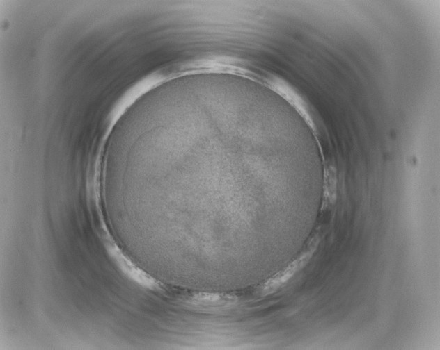 X0000082201098200701191436