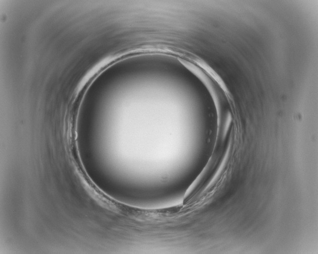 X0000082201101200701191436
