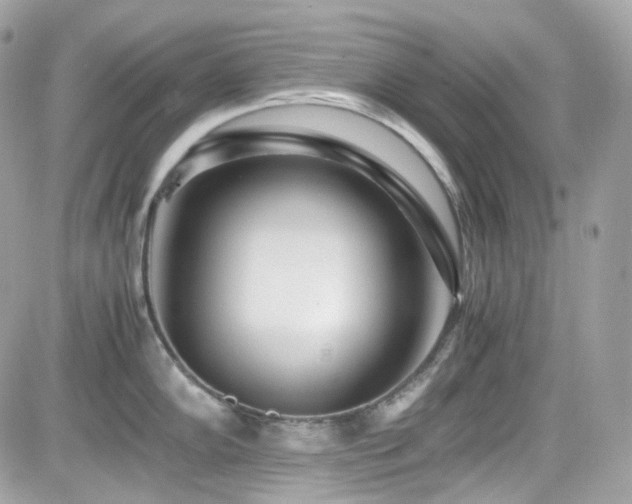X0000082201102200701191436