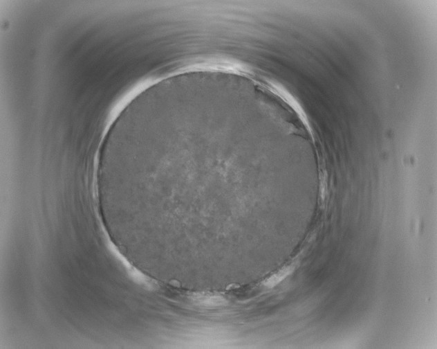 X0000082201103200701191436