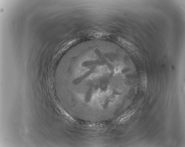 X0000082201105200701191435