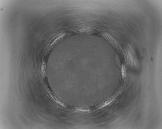 X0000082201107200701191435