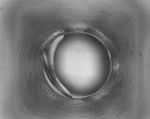 X0000082201108200701191435