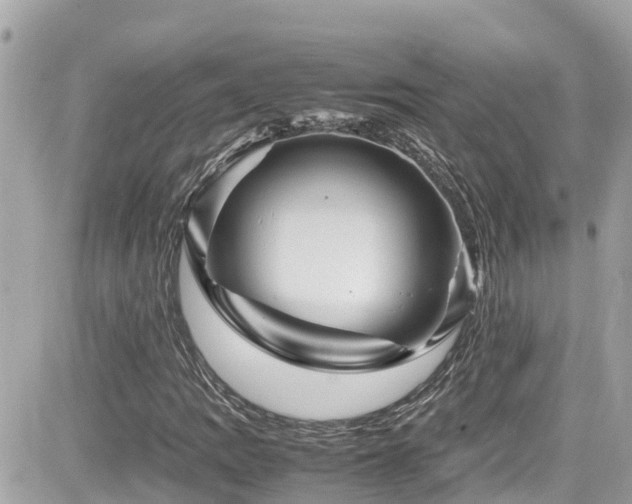 X0000082201109200701191435