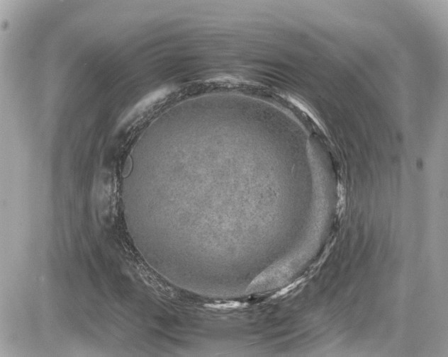 X0000082201111200701191435