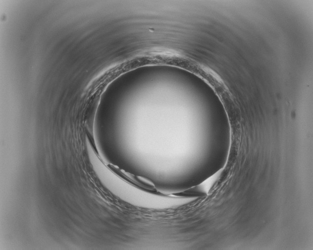 X0000082201112200701191435
