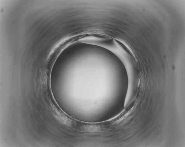 X0000082201115200701191435