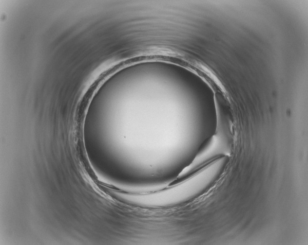 X0000082201116200701191435