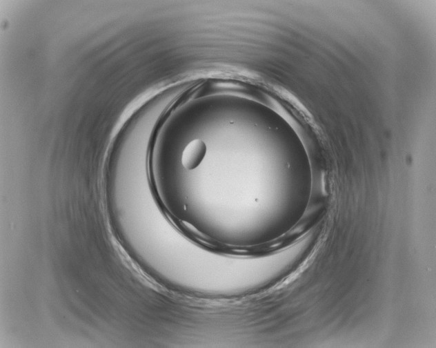 X0000082201122200701191435