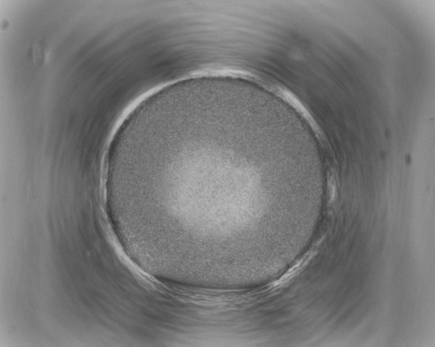 X0000082201124200701191435