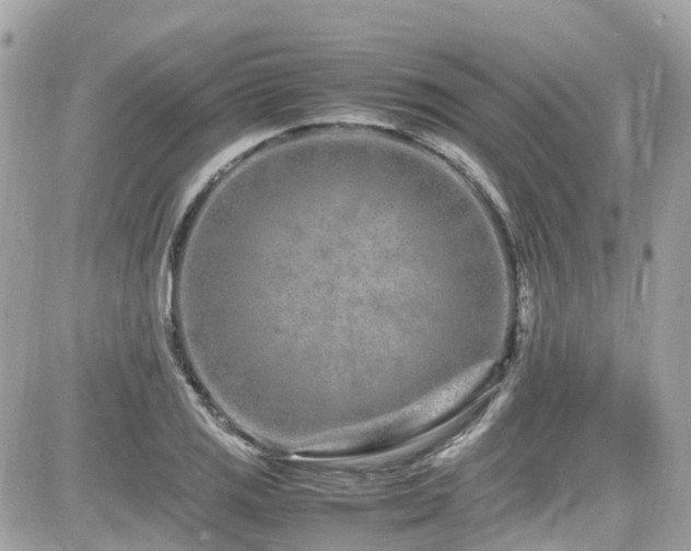 X0000082201125200701191435