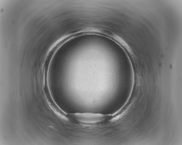 X0000082201127200701191435
