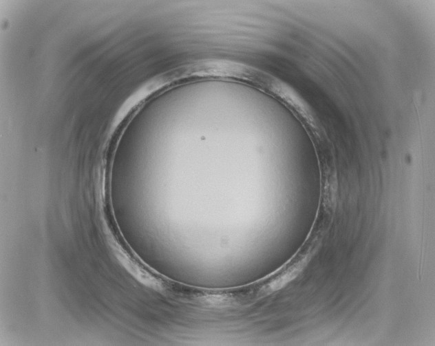 X0000082201130200701191435