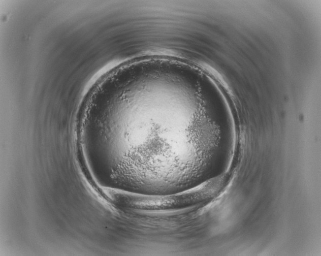X0000082201133200701191435