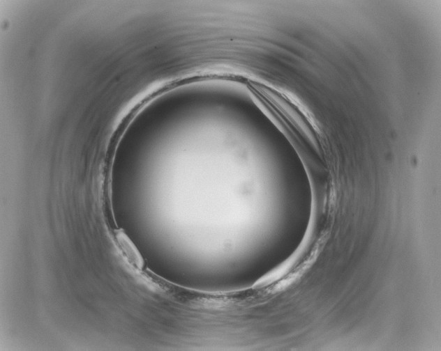 X0000082201134200701191435