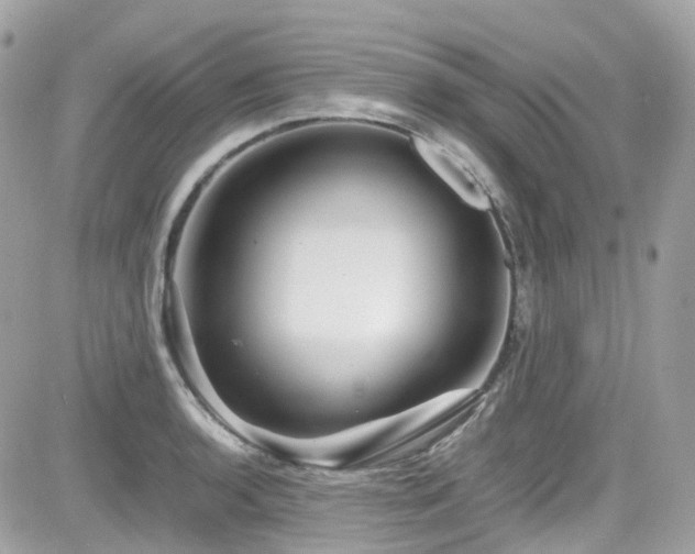 X0000082201136200701191435