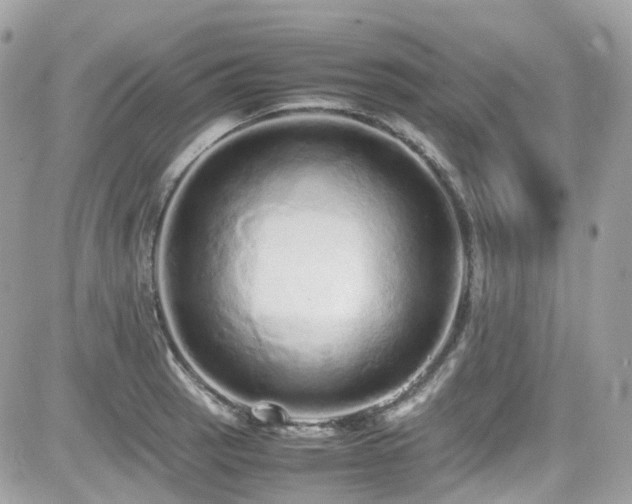 X0000082201137200701191435