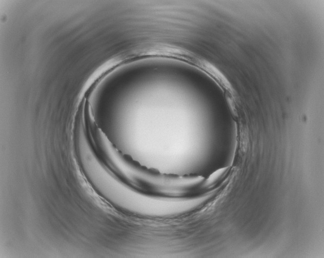 X0000082201138200701191435