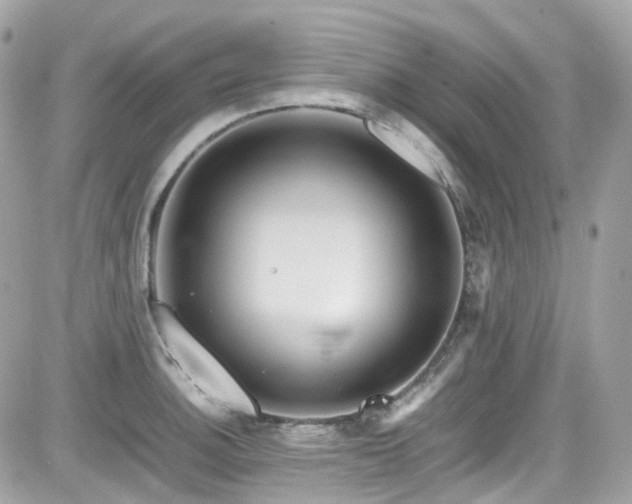 X0000082201140200701191435