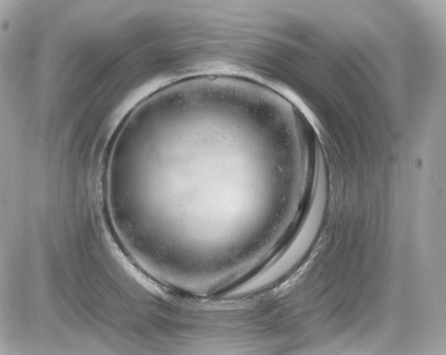 X0000082201142200701191435