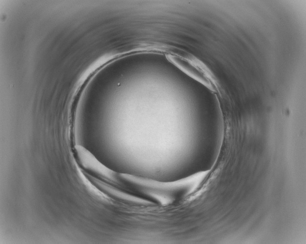 X0000082201143200701191436