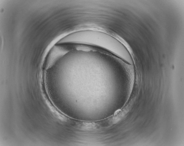 X0000082201144200701191436