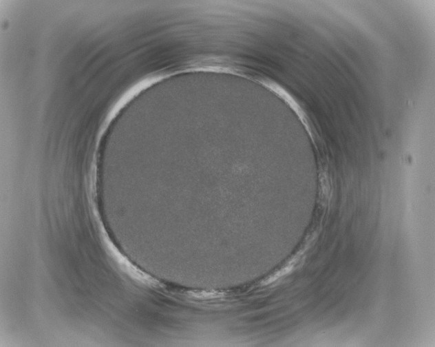X0000082201147200701191436