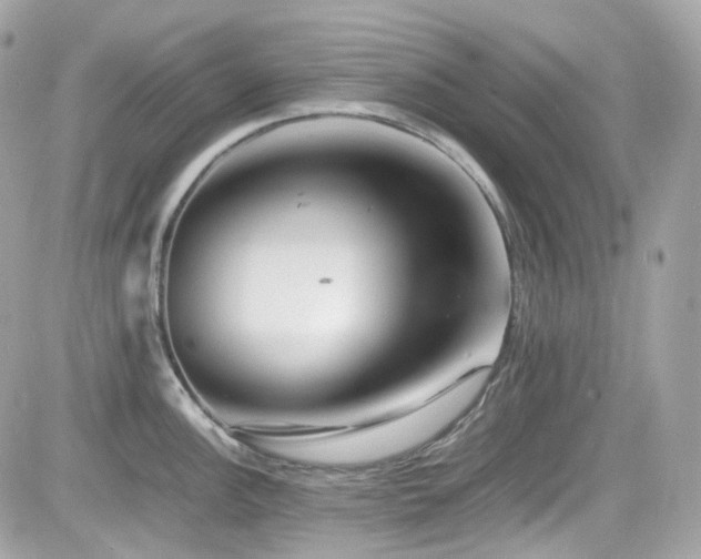 X0000082201148200701191436
